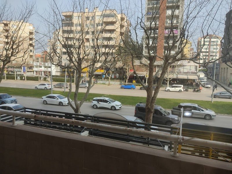 Dr. Oğuz Basut - Estetik