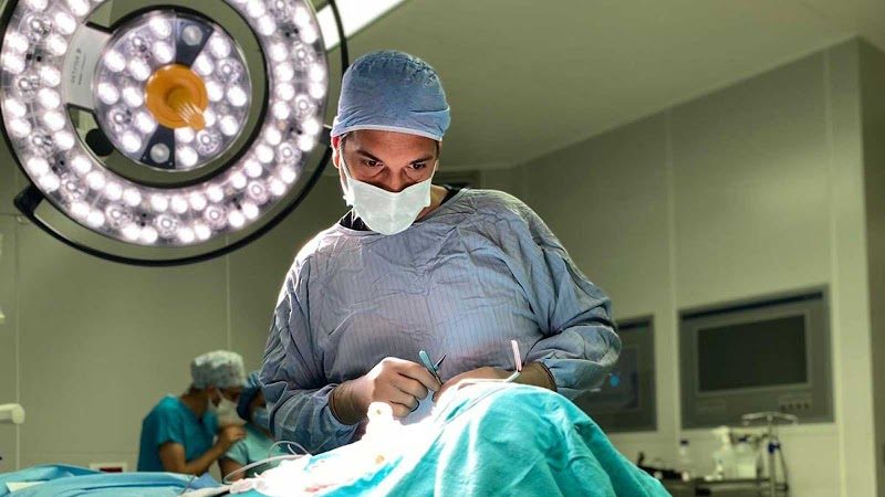 Dr. Gediz Serin - Estetik